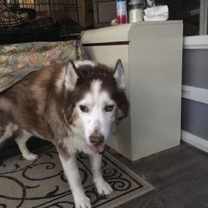 Meet your Posher, Claudia